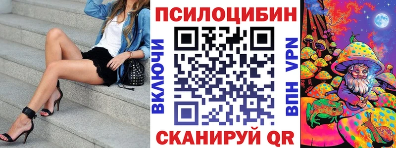 где продают наркотики  Пионерский  Псилоцибиновые грибы Magic Shrooms 